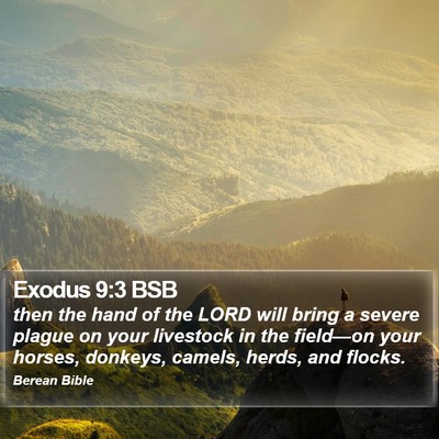 Exodus 9:3 BSB Bible Verse Image