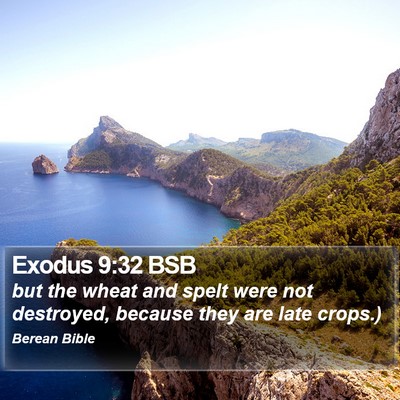 Exodus 9:32 BSB Bible Verse Image