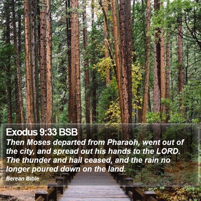 Exodus 9:33 BSB Bible Verse Image