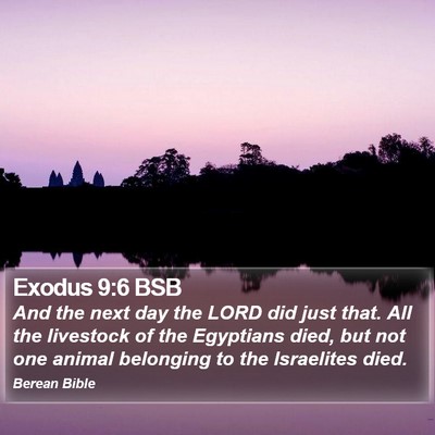Exodus 9:6 BSB Bible Verse Image