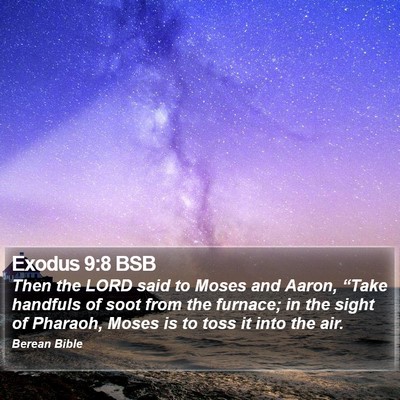 Exodus 9:8 BSB Bible Verse Image
