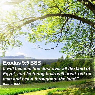 Exodus 9:9 BSB Bible Verse Image