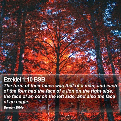Ezekiel 1:10 BSB Bible Verse Image