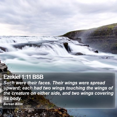 Ezekiel 1:11 BSB Bible Verse Image