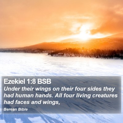 Ezekiel 1:8 BSB Bible Verse Image