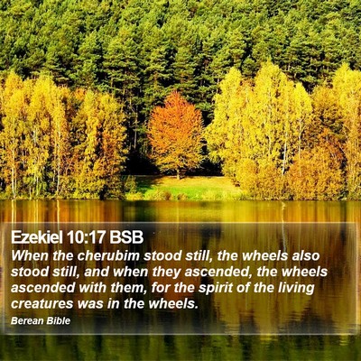 Ezekiel 10:17 BSB Bible Verse Image