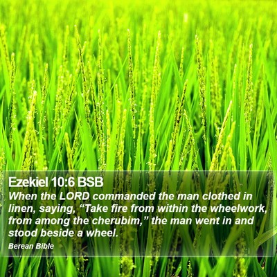 Ezekiel 10:6 BSB Bible Verse Image