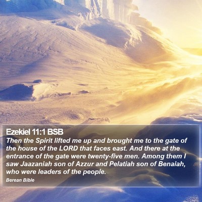 Ezekiel 11:1 BSB Bible Verse Image