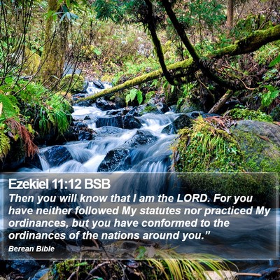Ezekiel 11:12 BSB Bible Verse Image