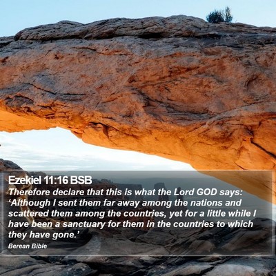 Ezekiel 11:16 BSB Bible Verse Image