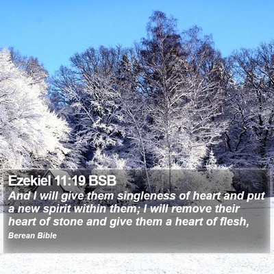 Ezekiel 11:19 BSB Bible Verse Image