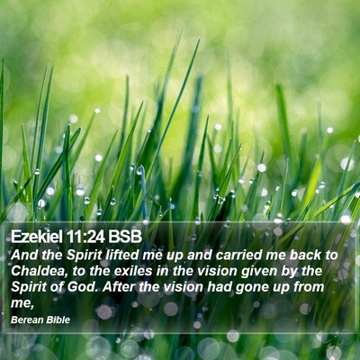 Ezekiel 11:24 BSB Bible Verse Image