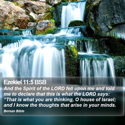 Ezekiel 11:5 BSB Bible Verse Image