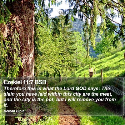 Ezekiel 11:7 BSB Bible Verse Image