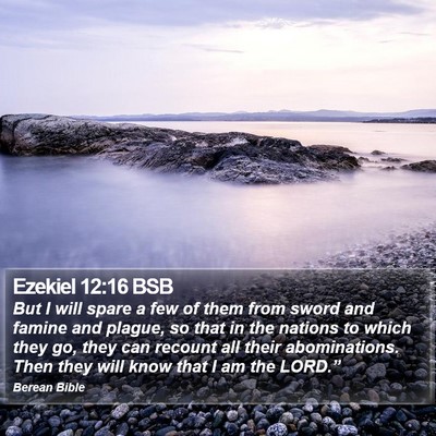 Ezekiel 12:16 BSB Bible Verse Image