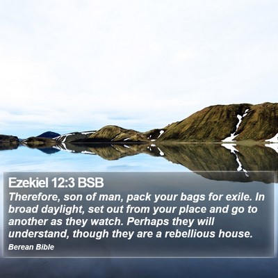 Ezekiel 12:3 BSB Bible Verse Image