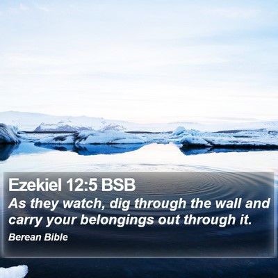 Ezekiel 12:5 BSB Bible Verse Image