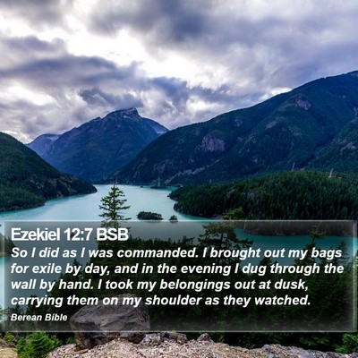 Ezekiel 12:7 BSB Bible Verse Image