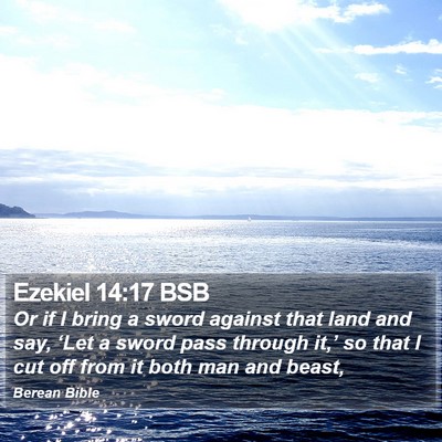 Ezekiel 14:17 BSB Bible Verse Image