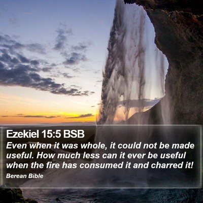 Ezekiel 15:5 BSB Bible Verse Image
