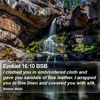 Ezekiel 16:10 BSB Bible Verse Image