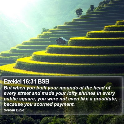 Ezekiel 16:31 BSB Bible Verse Image