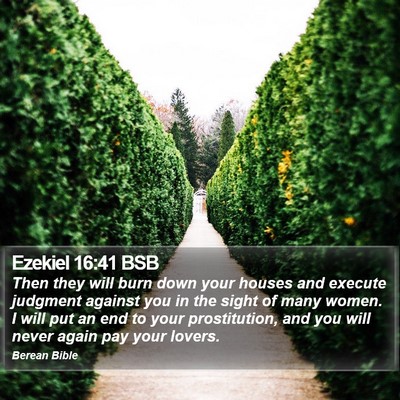 Ezekiel 16:41 BSB Bible Verse Image