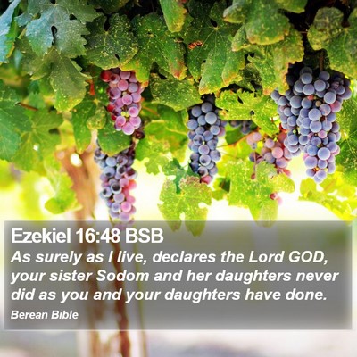 Ezekiel 16:48 BSB Bible Verse Image