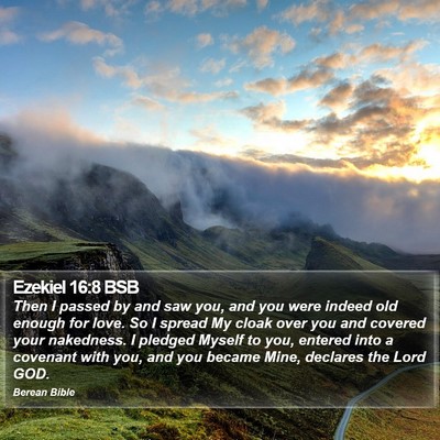 Ezekiel 16:8 BSB Bible Verse Image