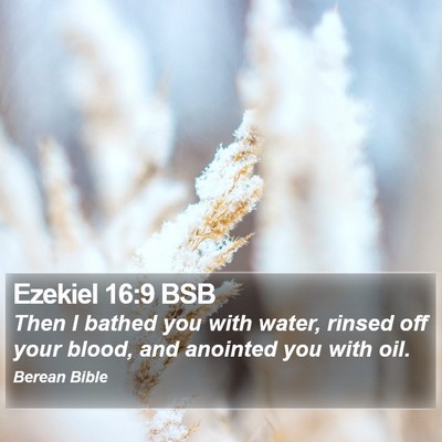 Ezekiel 16:9 BSB Bible Verse Image