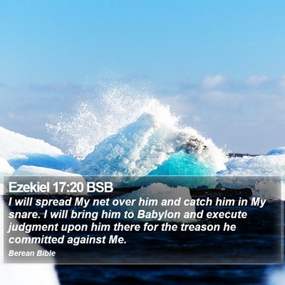 Ezekiel 17:20 BSB Bible Verse Image