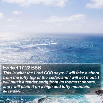 Ezekiel 17:22 BSB Bible Verse Image