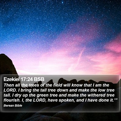 Ezekiel 17:24 BSB Bible Verse Image