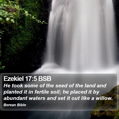 Ezekiel 17:5 BSB Bible Verse Image