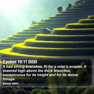 Ezekiel 19:11 BSB Bible Verse Image