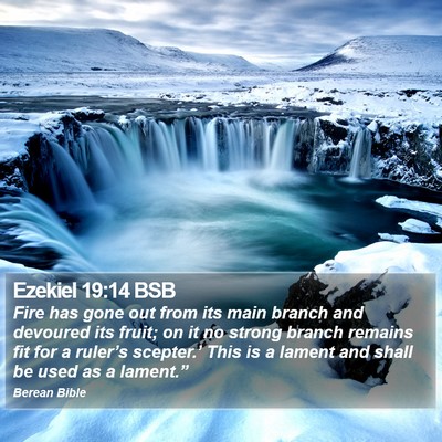 Ezekiel 19:14 BSB Bible Verse Image