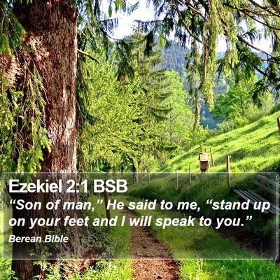Ezekiel 2:1 BSB Bible Verse Image