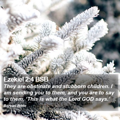 Ezekiel 2:4 BSB Bible Verse Image