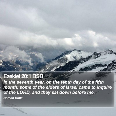 Ezekiel 20:1 BSB Bible Verse Image