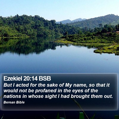 Ezekiel 20:14 BSB Bible Verse Image
