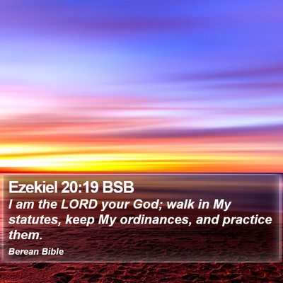 Ezekiel 20:19 BSB Bible Verse Image