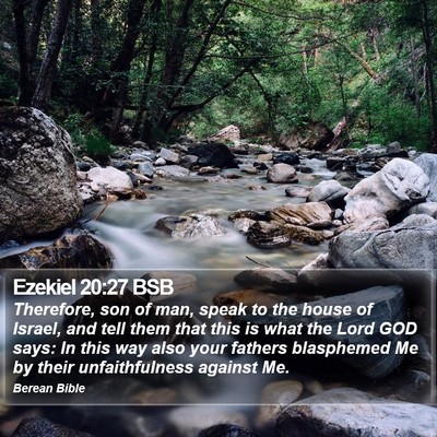 Ezekiel 20:27 BSB Bible Verse Image