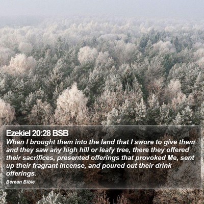 Ezekiel 20:28 BSB Bible Verse Image