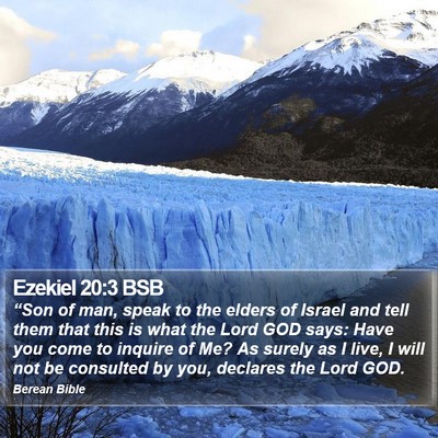 Ezekiel 20:3 BSB Bible Verse Image