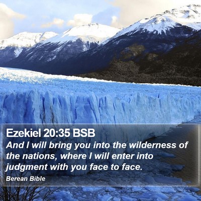 Ezekiel 20:35 BSB Bible Verse Image