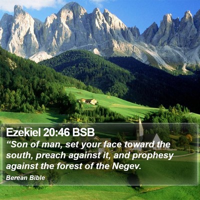 Ezekiel 20:46 BSB Bible Verse Image