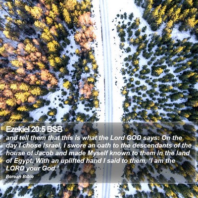 Ezekiel 20:5 BSB Bible Verse Image