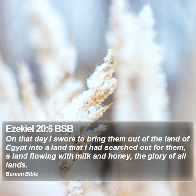 Ezekiel 20:6 BSB Bible Verse Image