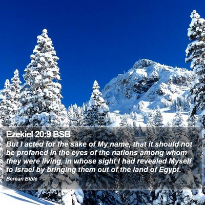 Ezekiel 20:9 BSB Bible Verse Image