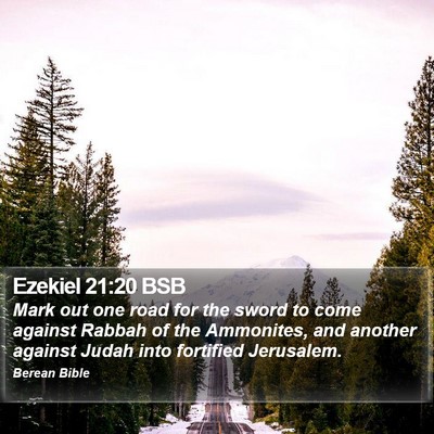 Ezekiel 21:20 BSB Bible Verse Image